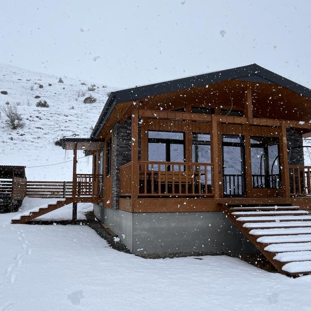 DACHA MECHTA_FIAGDON