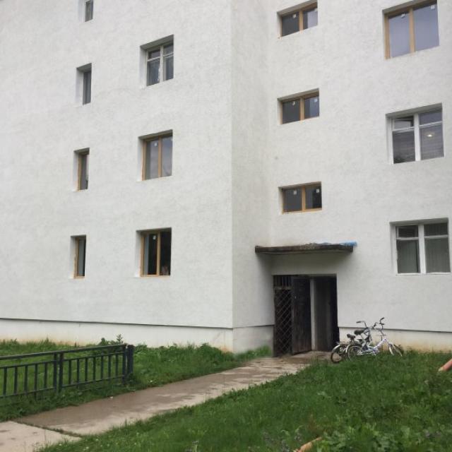Apartamenty v lesu