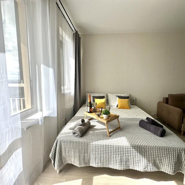 Great spacious apartment near the city center