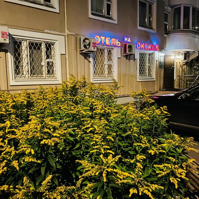 Na Okskoy