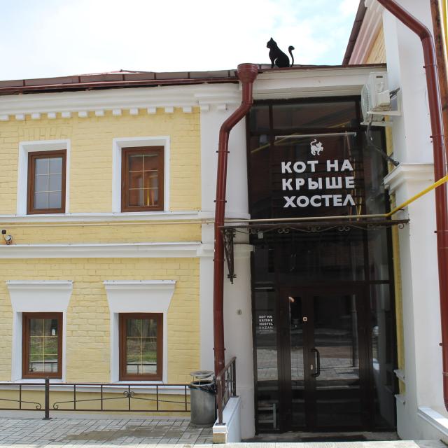 Кот на крыше