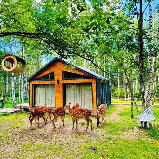 Domiki Bembi Land