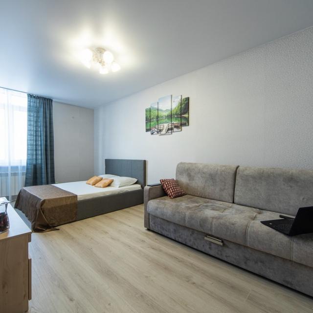 Apartment on Novo-Sadovaya 215B from the company Home Hotel Samara