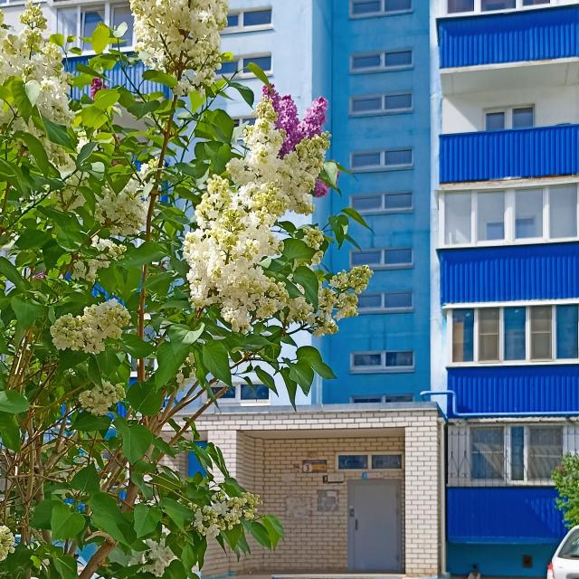 VLZhome on 116 Lenin Avenue