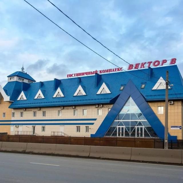 Vektor V