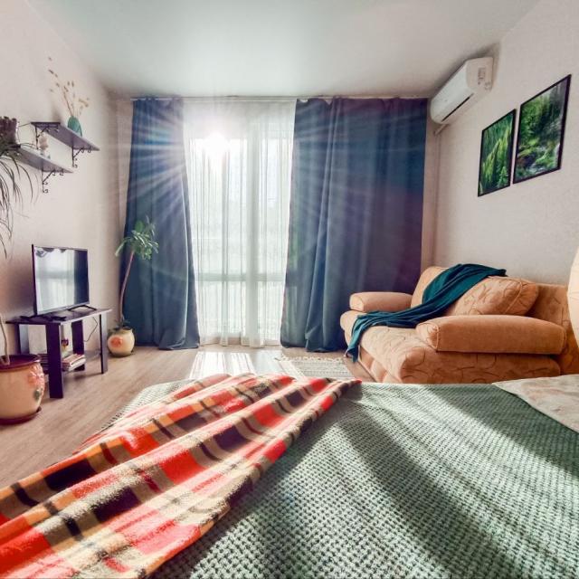 Forest dreams on Romantic Street