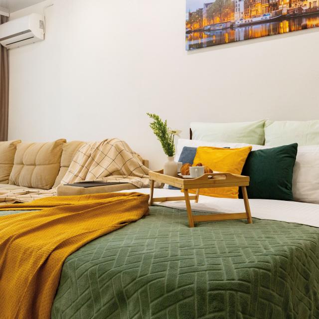 Spacious apartments in the city center