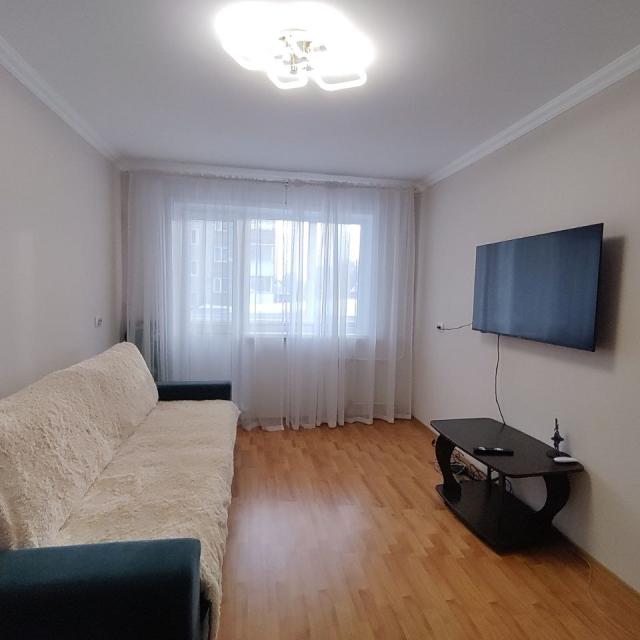 Comfortable one-bedroom apartment in the city center