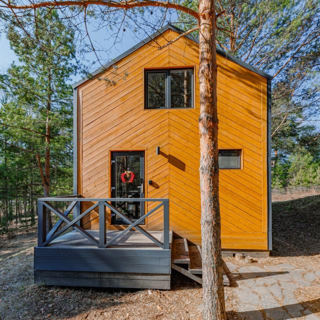 The House in the Forest
