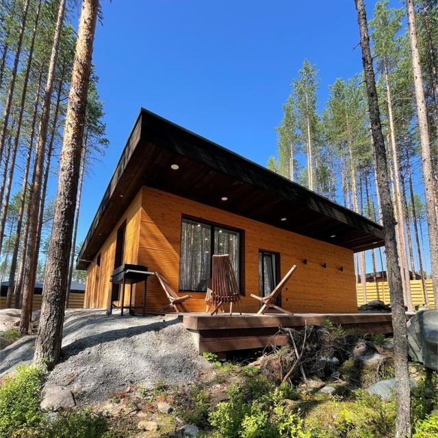 Villa in Karelia