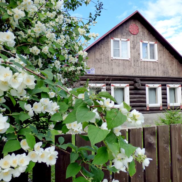Obereg