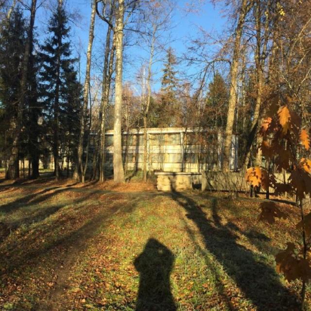 Kamorka s lezhankoi u okna