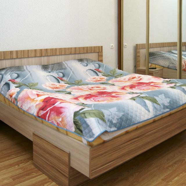 Apartments on 2-ya Posadskaya street, 4