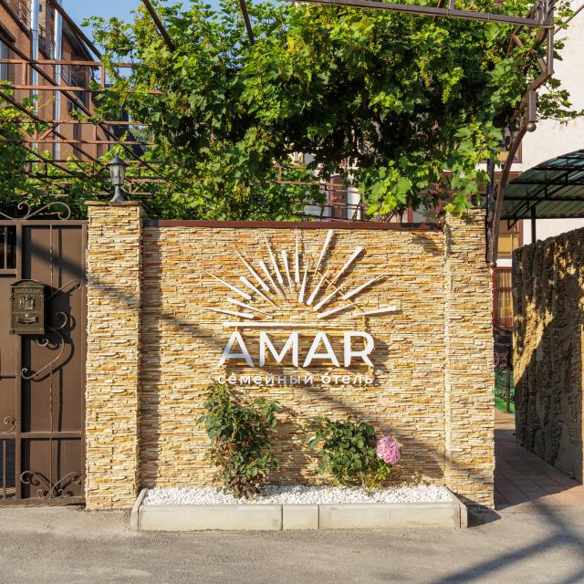 Amar