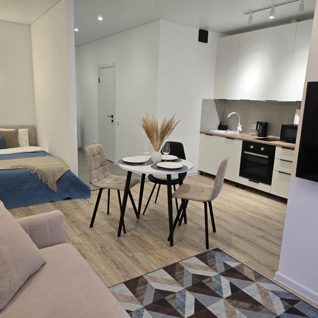 Studio apartment on Commonwealth Boulevard 5