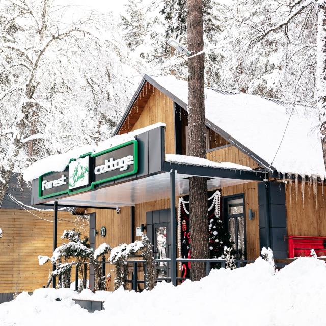 Forest Сottage