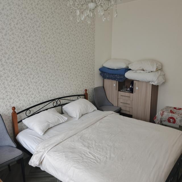 Irkutsk History Apartment on Friedrich Engels Street