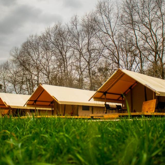 Malina Glamping KOSA