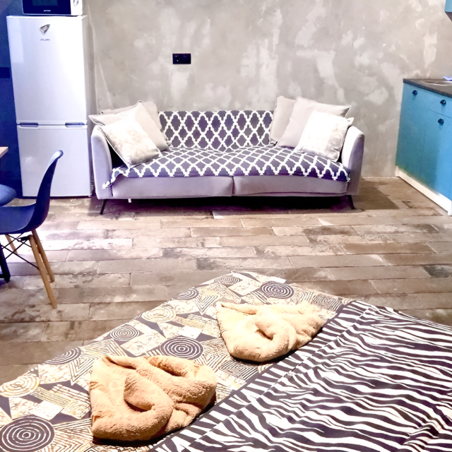 Studio for 1-3 guests|Near Sheremetyevo Airport|Mega Shopping Center|Railway station residential complex