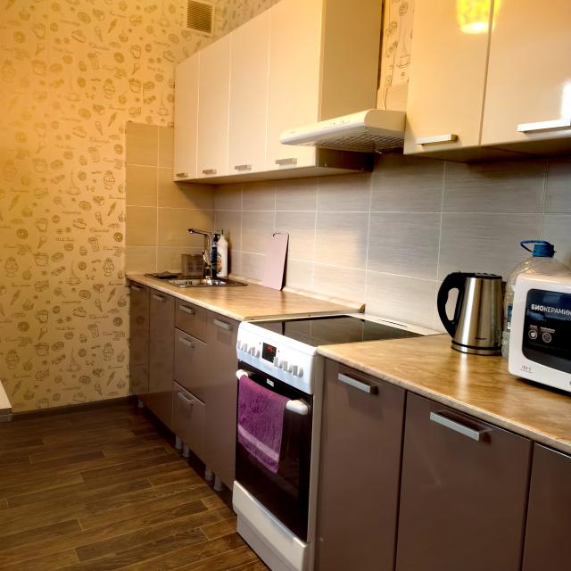 Apartments on Pushkin 12