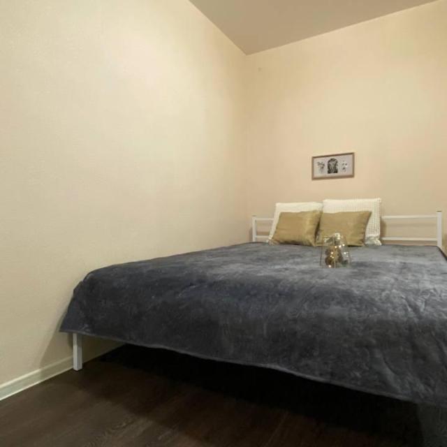 The apartment is as good as at home on Krasnoarmeyskaya Street