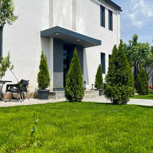 Haya Guest House
