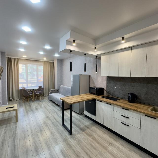 Comfort apartment on 33a Nekrasova Street