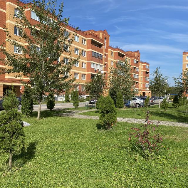 Apartments in the Vostochny microdistrict