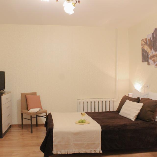 Apartments on Volodarsky street 54