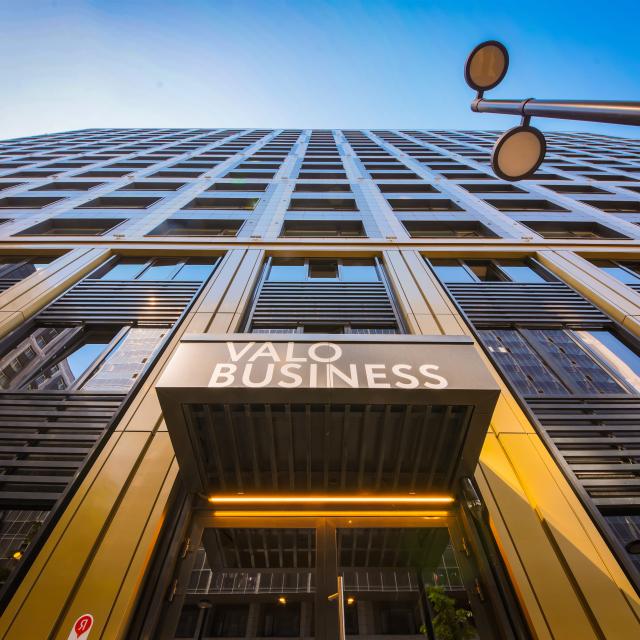 Valo Business (Вало Бизнесc)