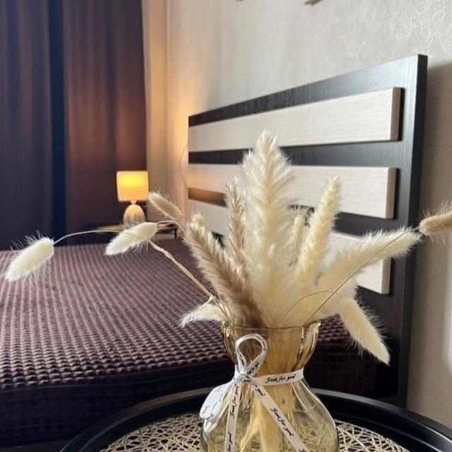 Studio apartment on Palm Street 5