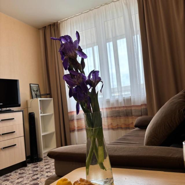 Apartments on Shishkova 70