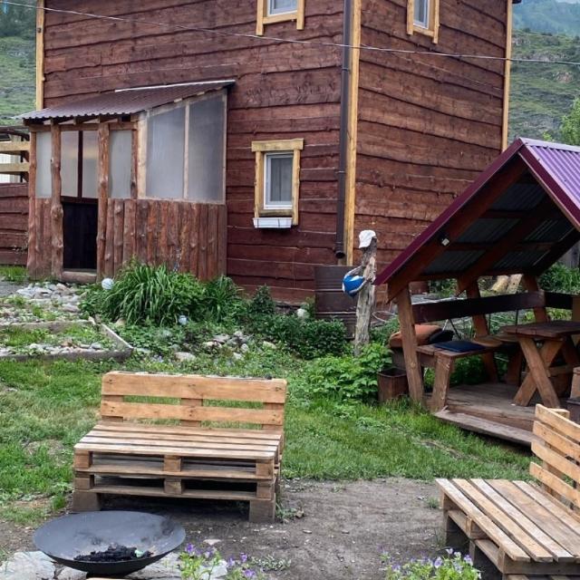 Чижик на улице Дворникова 12А