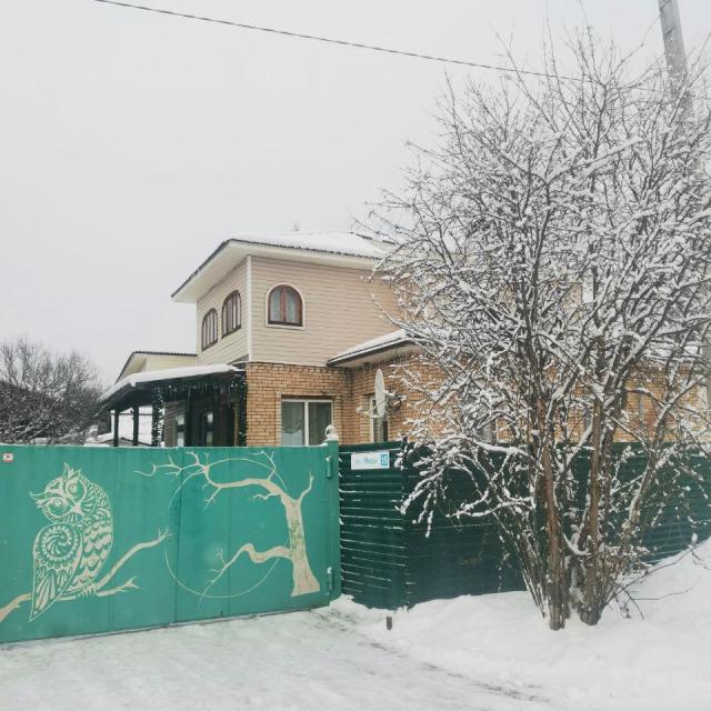 Рыжая Сова