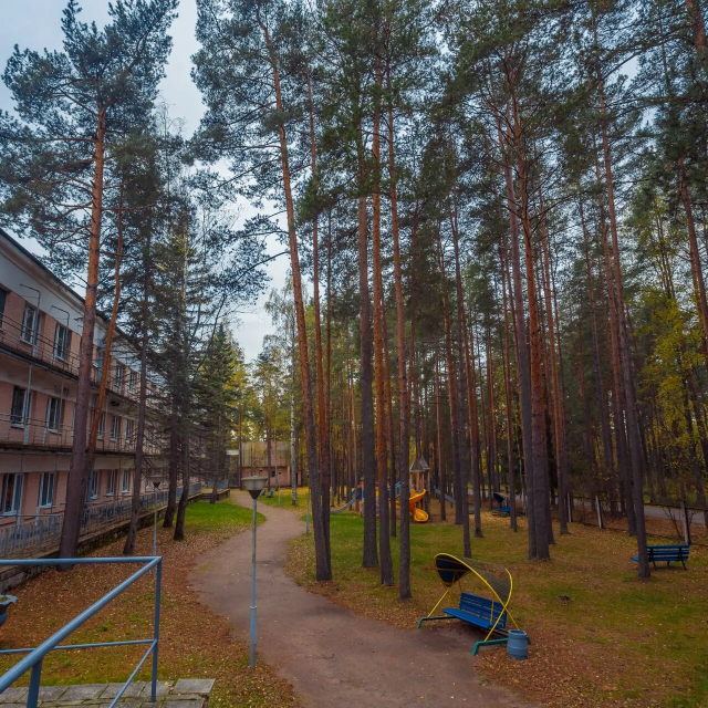 Дом отдыха и творчества Комарово