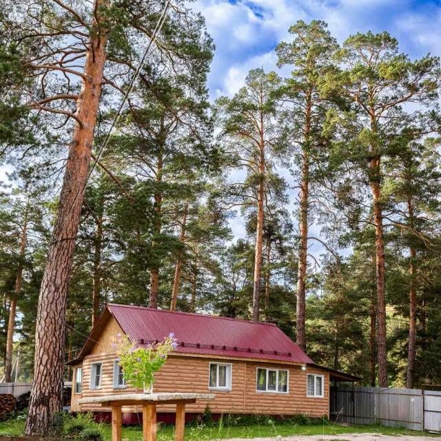 The house by the river