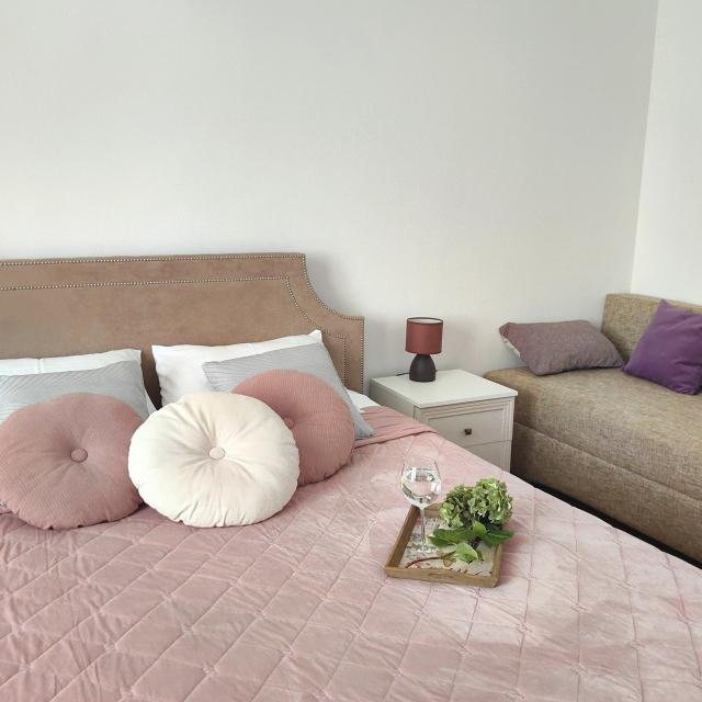 Apartment Magnifica