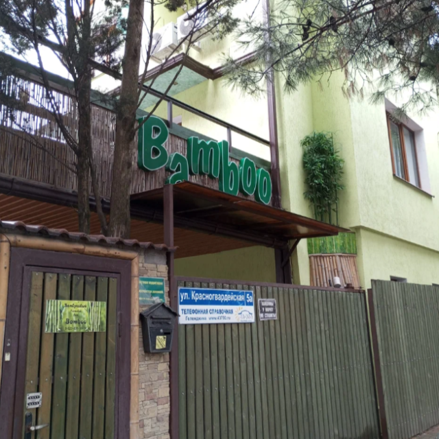 Bamboo