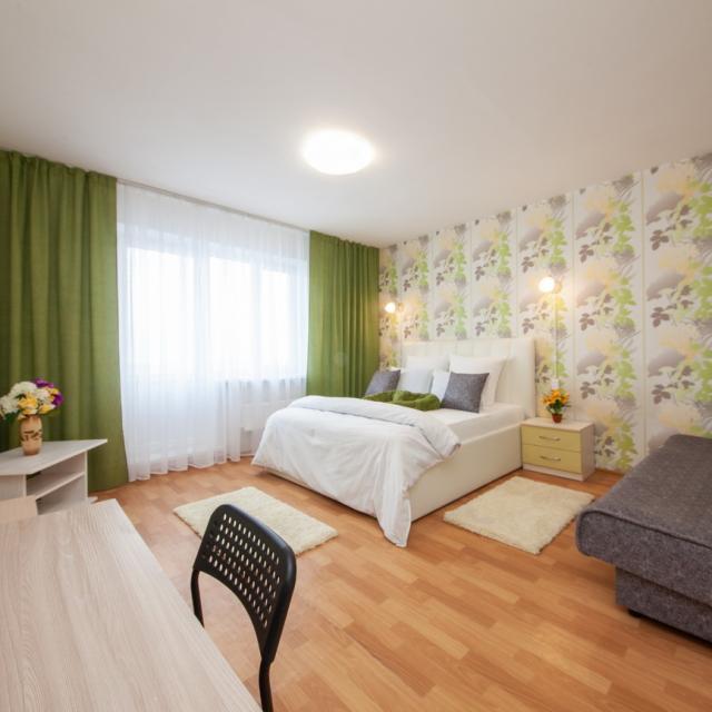 Apartment on 111 Alekseeva Street