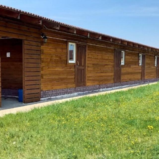 Romashka