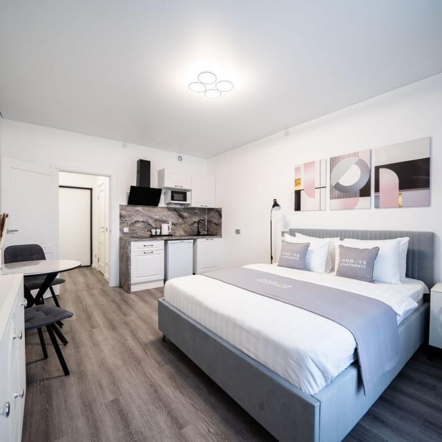 InnDays Apartments на улице Струве 10