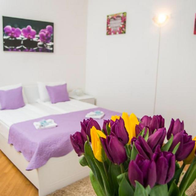Гостевые комнаты САД 3 (Guest Room SAD 3)