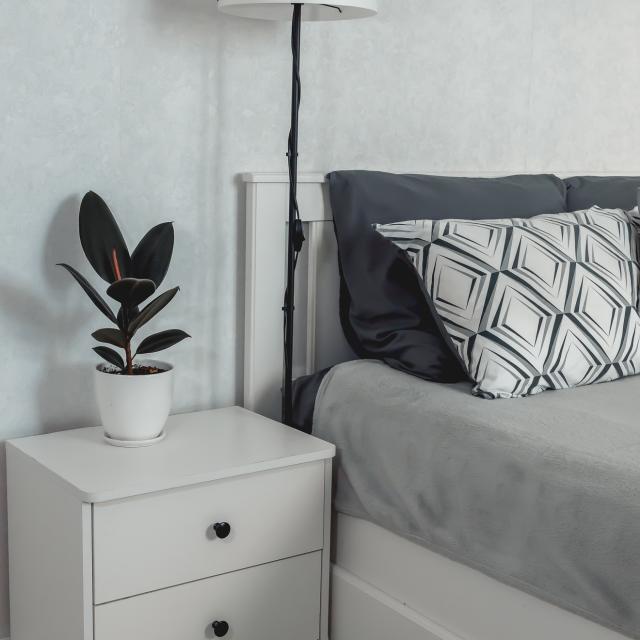 Eliza Home на улице Плесецкая 10