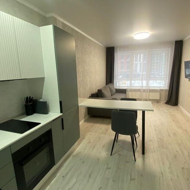 Studio apartment with Euro renovation in the city center