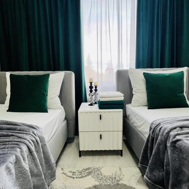 Spacious two-bedroom apartment in the city center 