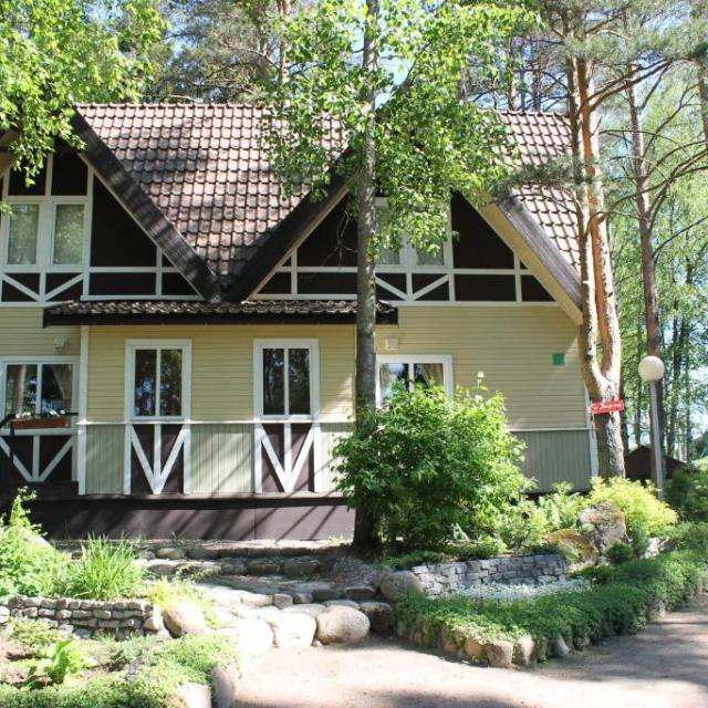 Снежный