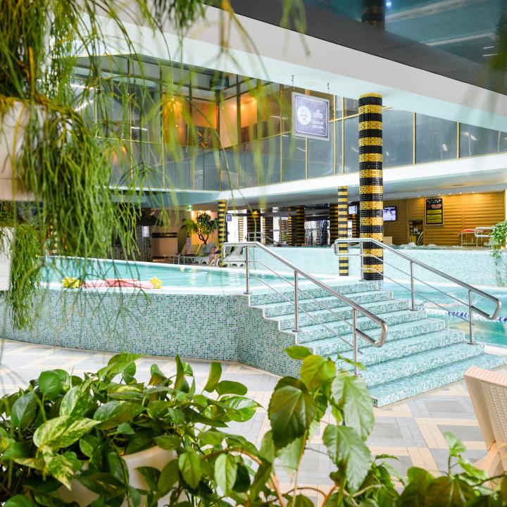 Grand Wellness Hotel & SPA (Гранд Веллнесс Отель и СПА)
