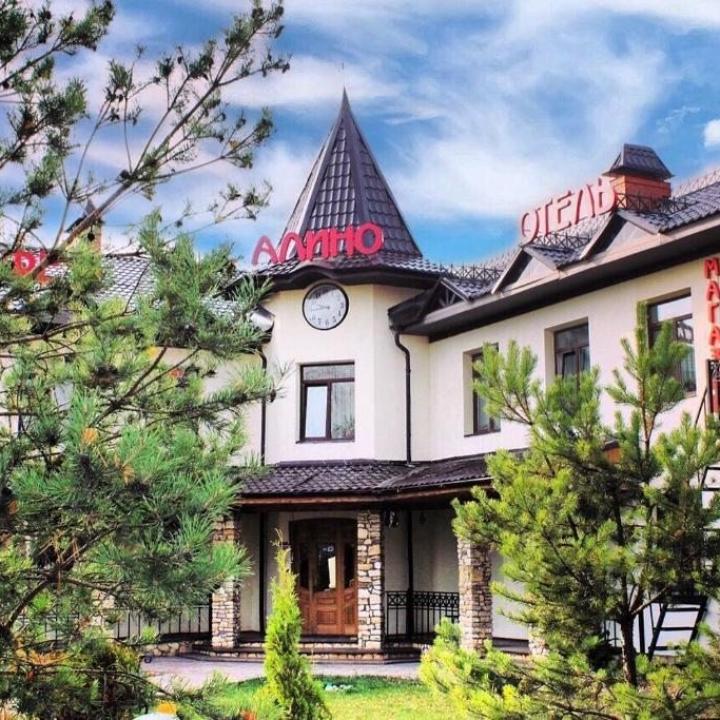 Фото отеля Алино от Егор