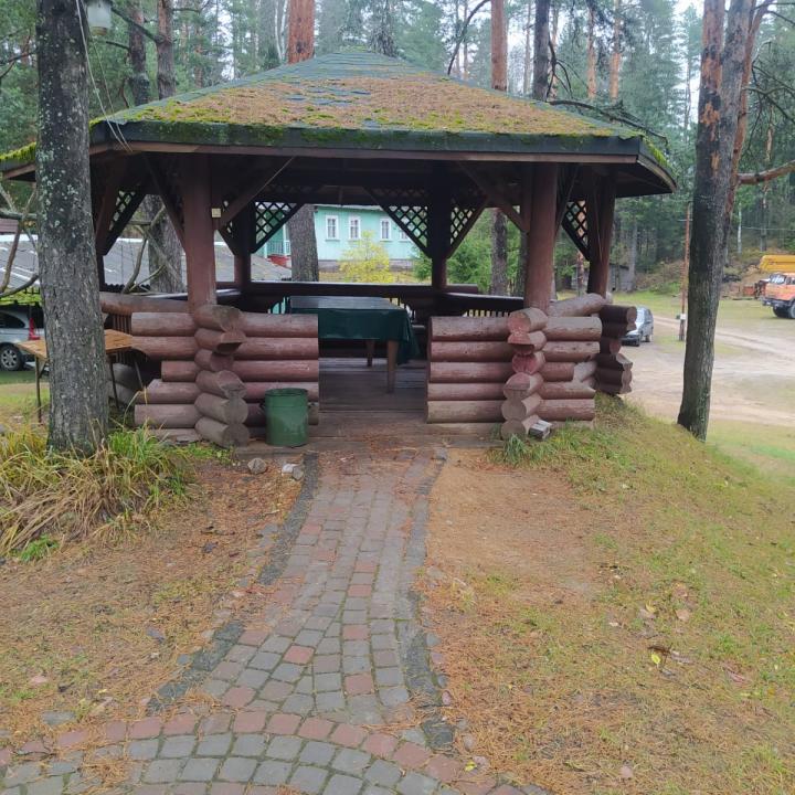 Динамо