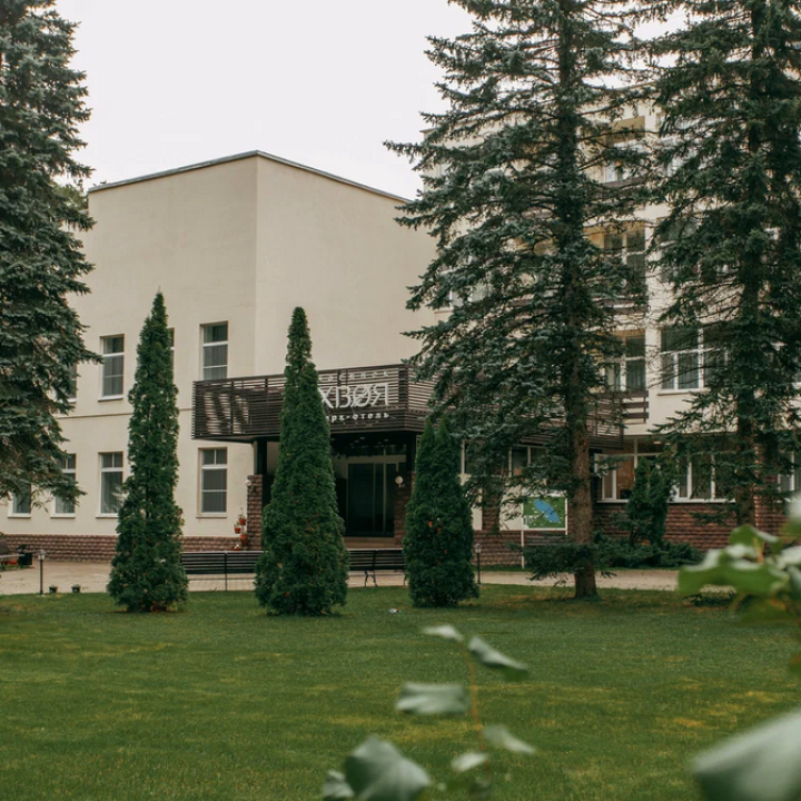 Хвоя Ногинск